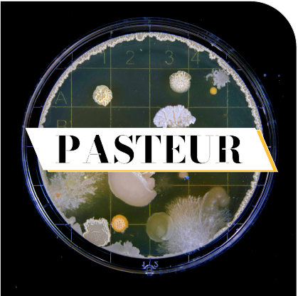 HUVY, la medtech qui révolutionne le diagnostic de peau